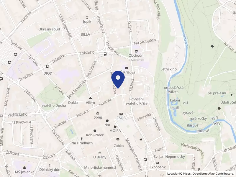 Horácké divadlo Jihlava, příspěvková organizace, Jihlava, Komenského 1359/22, 58601 Jihlava - Jihlava, IČO 00094811