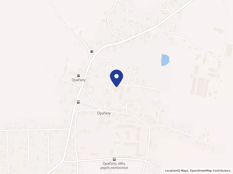 Základní škola a Mateřská škola Opařany, 165, 39161 Opařany - Opařany, IČO 70890773