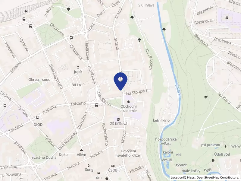 VYZNAč, s.r.o., Srázná 5113/1, 58601 Jihlava - Jihlava, IČO 01916297
