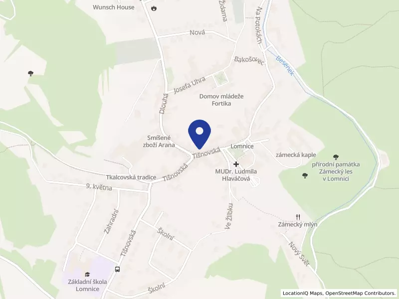Zdravyzub s.r.o., Tišnovská 80, 67923 Lomnice - Lomnice, IČO 29374847