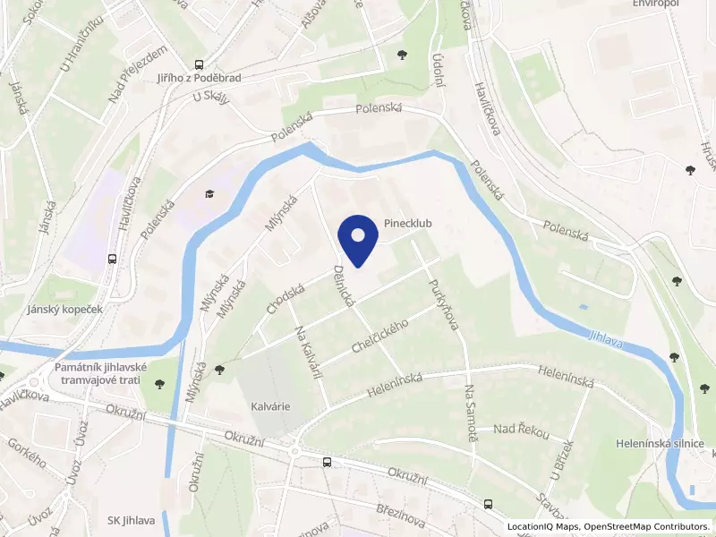 Dětský domov se školou, středisko výchovné péče a základní škola, Jihlava, Dělnická 320/1, 58601 Jihlava - Jihlava, IČO 60545933