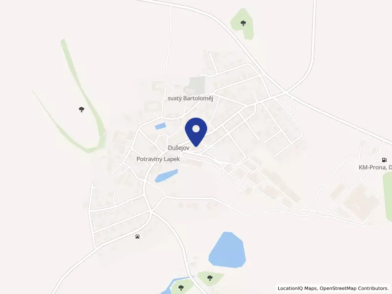 Obec Dušejov, 109, 58805 Dušejov - Dušejov, IČO 00285811