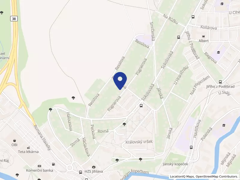 CUP Security s.r.o., Jihlava, Fügnerova 3241/19, 58601 Jihlava - Jihlava, IČO 29316693