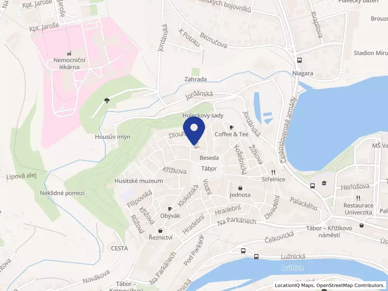 Cheiron T, o.p.s., Tábor, Děkanská 302, 39001 Tábor - Tábor, IČO 25154621