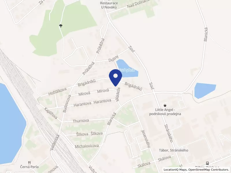 FREGIS s.r.o., Mládeže 2568, 39002 Tábor - Tábor, IČO 28148606