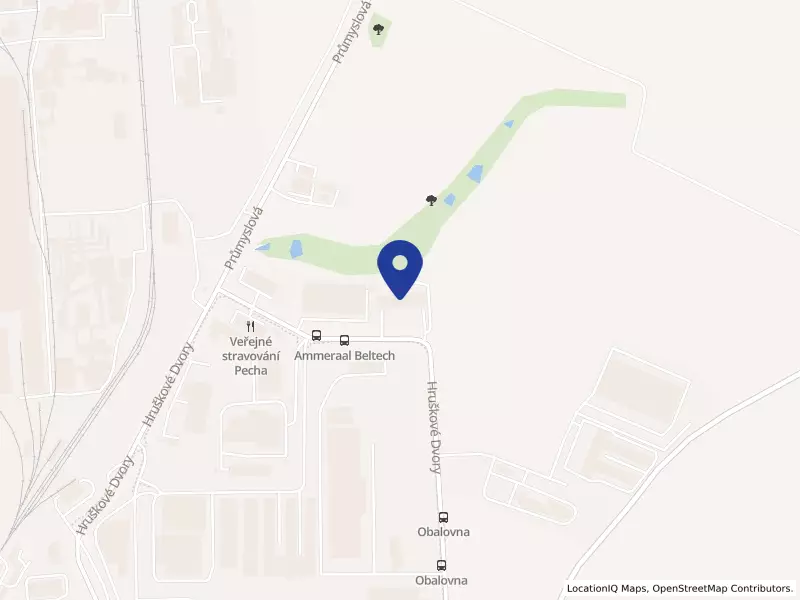 Ammeraal Beltech s.r.o., 80, 58601 Jihlava - Hruškové Dvory, IČO 25138138
