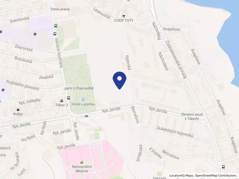 Rehabilitace Tábor s.r.o., Kpt. Jaroše 3140, 39003 Tábor - Tábor, IČO 21897646