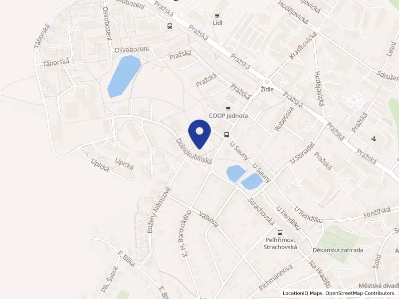 BPaP, s.r.o., Dolnokubínská 1438, 39301 Pelhřimov - Pelhřimov, IČO 06999034