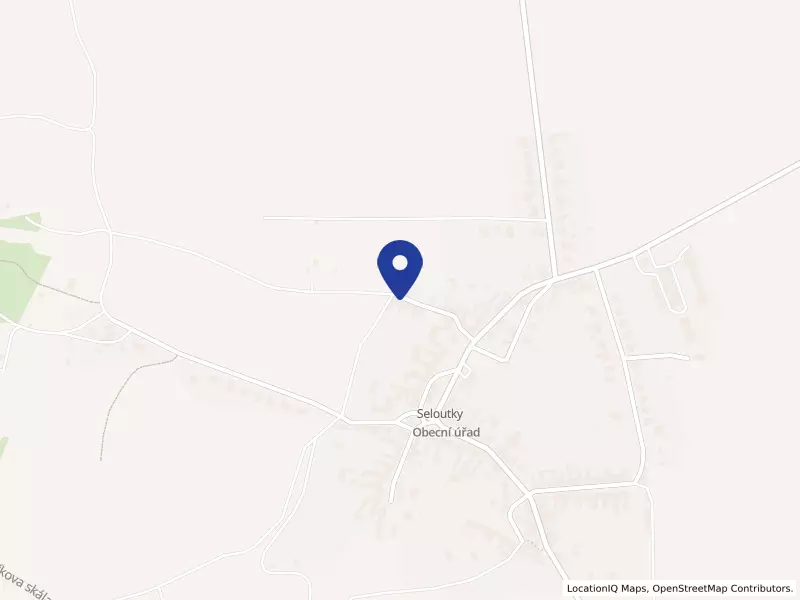 TyfloAsist s.r.o., Seloutky, 86, 79804 Seloutky - Seloutky, IČO 06829147
