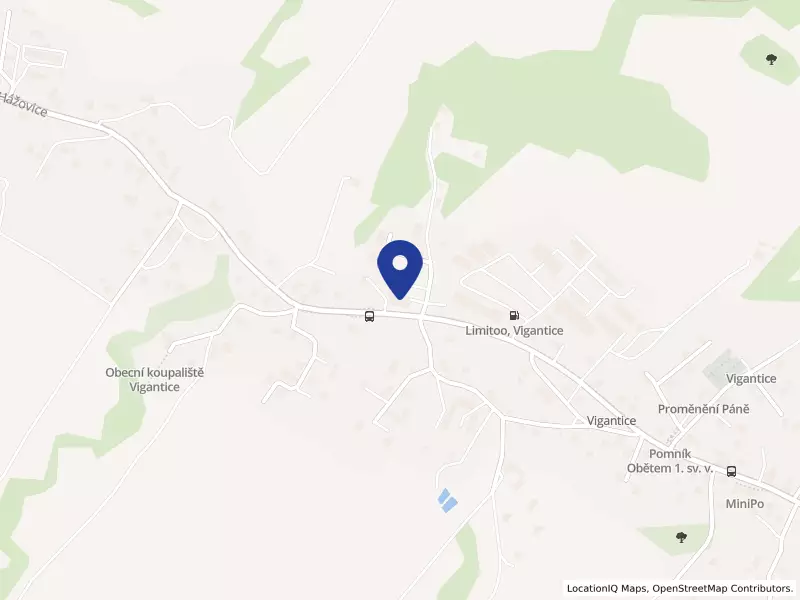 Základní škola a Mateřská škola Vigantice, okres Vsetín, příspěvková organizace, Vigantice, 88, 75661 Vigantice - Vigantice, IČO 71006150