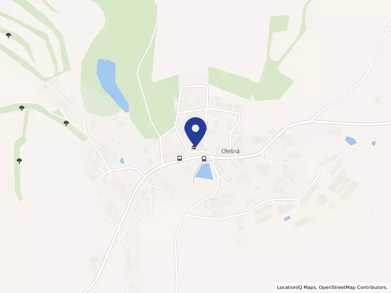 Základní škola a mateřská škola Olešná, okres Pelhřimov, 54, 39301 Olešná - Olešná, IČO 75000717