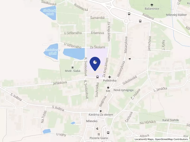 1. základní škola T.G. Masaryka Milevsko, Jeřábkova 690, okres Písek, Jeřábkova 690, 39901 Milevsko - Milevsko, IČO 71000381