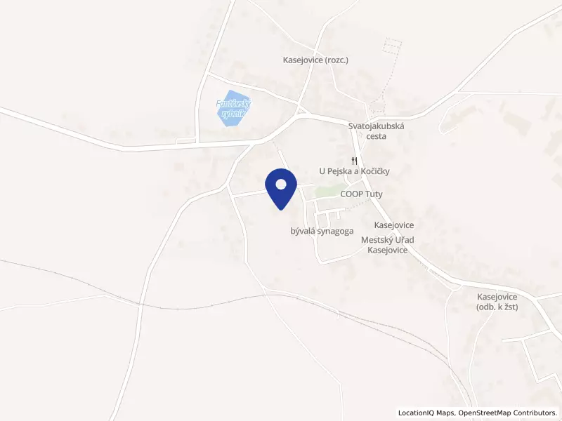 Základní škola Kasejovice, okres Plzeň-jih, příspěvková organizace, 318, 33544 Kasejovice - Kasejovice, IČO 60611227