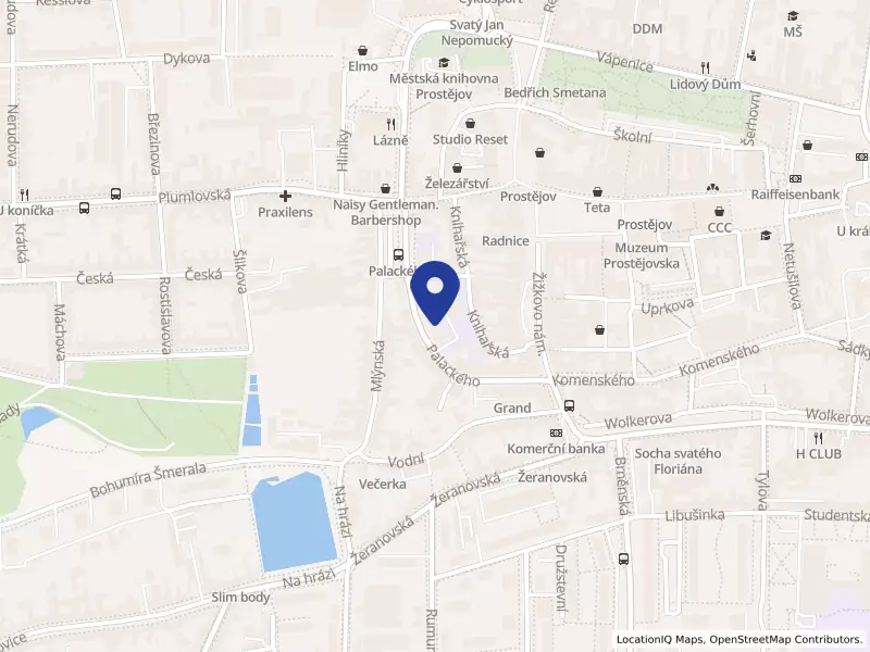Základní škola a mateřská škola Prostějov, Palackého tř. 14, Palackého 152/14, 79601 Prostějov - Prostějov, IČO 47922486