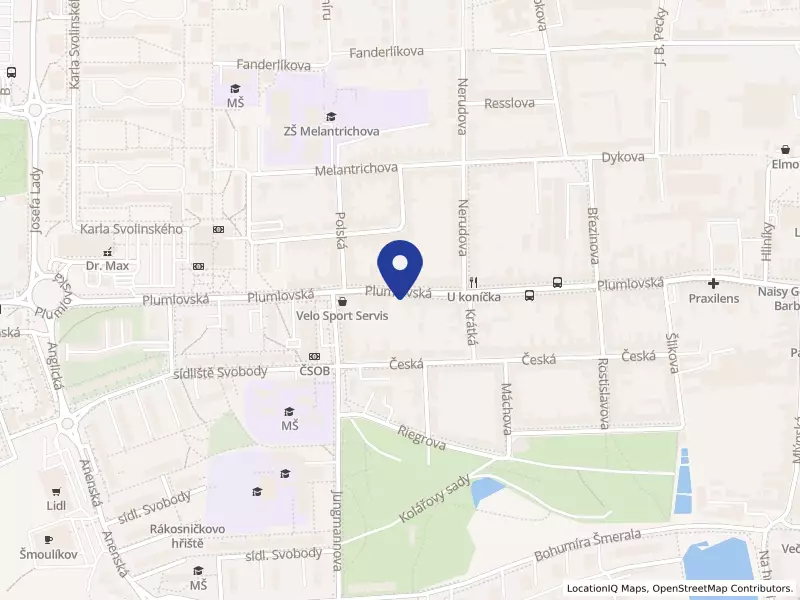 Obr Burger s.r.o., Plumlovská 703/73, 79601 Prostějov - Prostějov, IČO 27728293