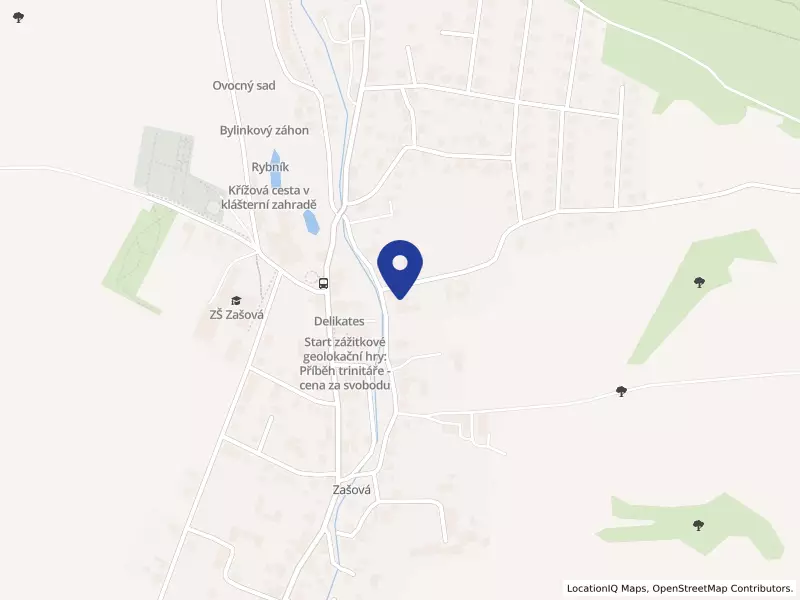 Dětský domov Zašová, 172, 75651 Zašová - Zašová, IČO 60990597