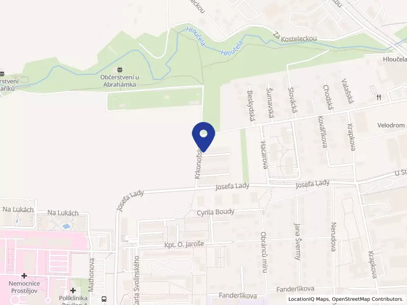 Ayur - Lanka, s.r.o., Krkonošská 4778/38, 79604 Prostějov - Prostějov, IČO 29286506