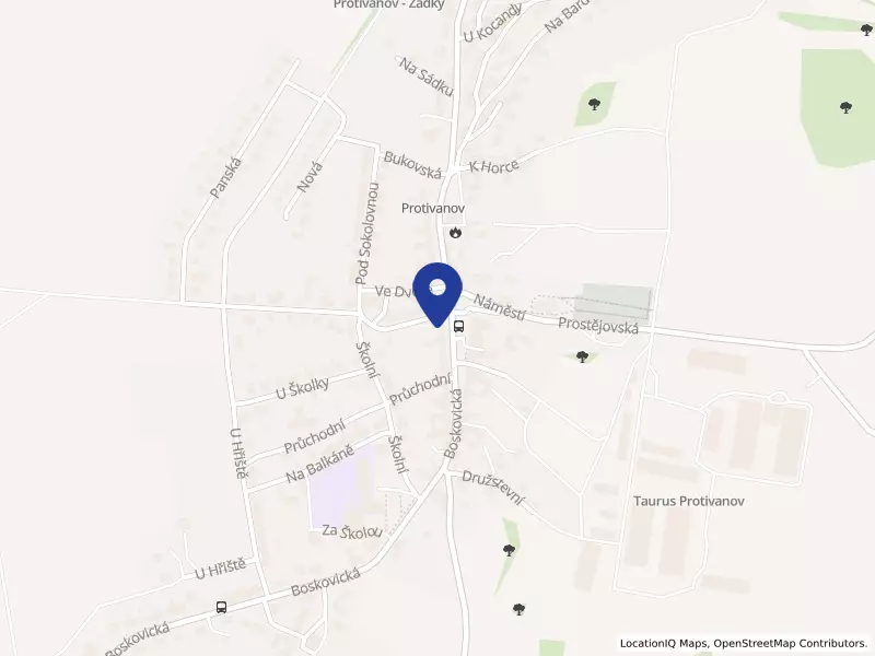 MEDIPAS s.r.o., Protivanov, Náměstí 17, 79848 Protivanov - Protivanov, IČO 29355087