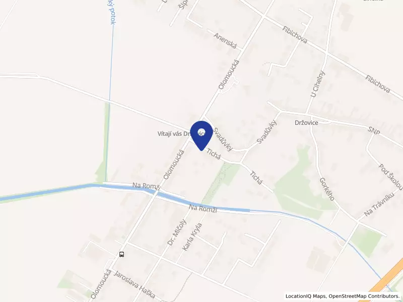 Český výrobek s.r.o., Tichá 259/6, 79607 Držovice - Držovice, IČO 27689051