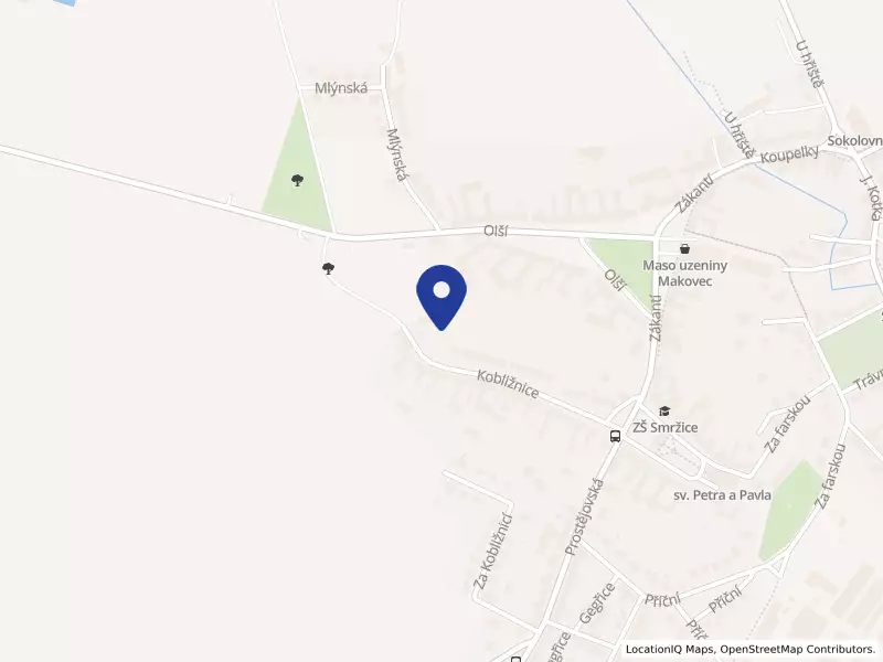 FT oil s.r.o., Kobližnice 44/8, 79817 Smržice - Smržice, IČO 27711561