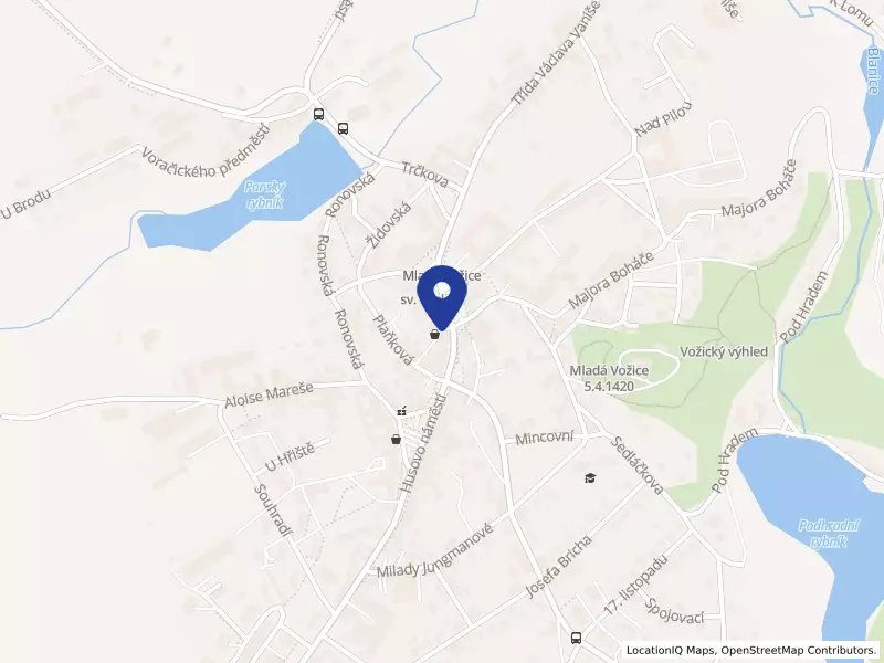 MOLMAT GROUP, s.r.o., Žižkovo náměstí 188, 39143 Mladá Vožice - Mladá Vožice, IČO 05598559