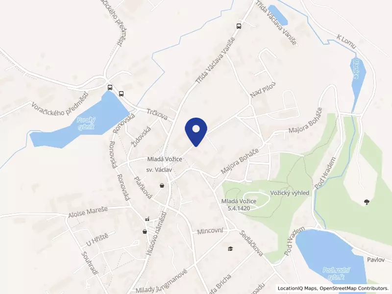 RE IN s.r.o., Náměstí obětí nacismu 646, 39143 Mladá Vožice - Mladá Vožice, IČO 48109339