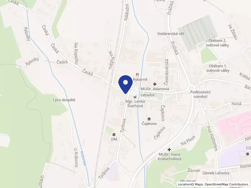 Základní umělecká škola Letovice, příspěvková organizace, Masarykovo náměstí 203/29, 67961 Letovice - Letovice, IČO 00839639