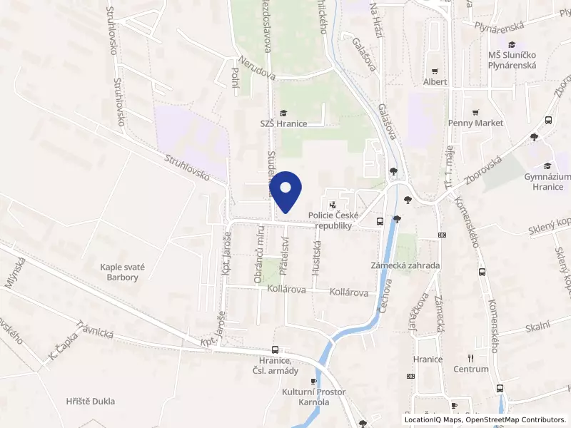 Dětský domov a Školní jídelna, Hranice, Purgešova 847, Purgešova 847, 75301 Hranice - Hranice I-Město, IČO 62350277