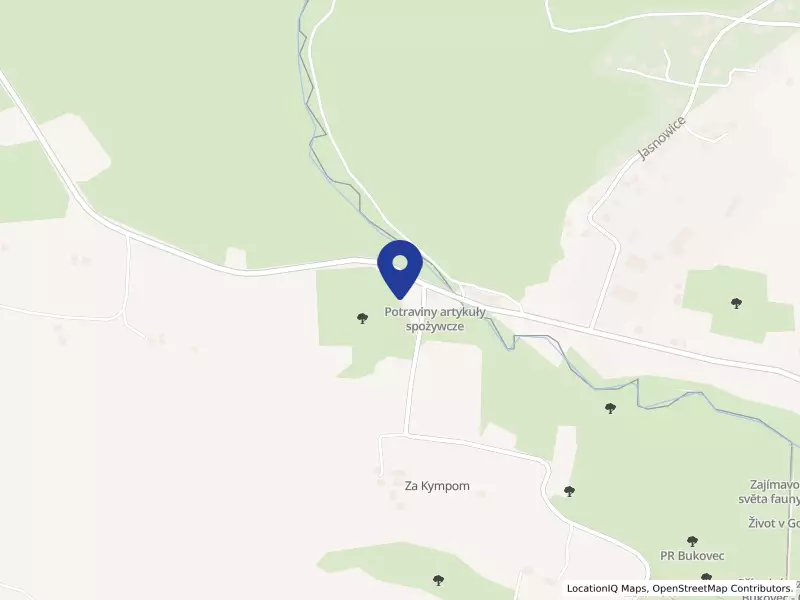 Středoevropská skupina pro integraci OZP, z. s., 386, 73985 Bukovec - Bukovec, IČO 26555964