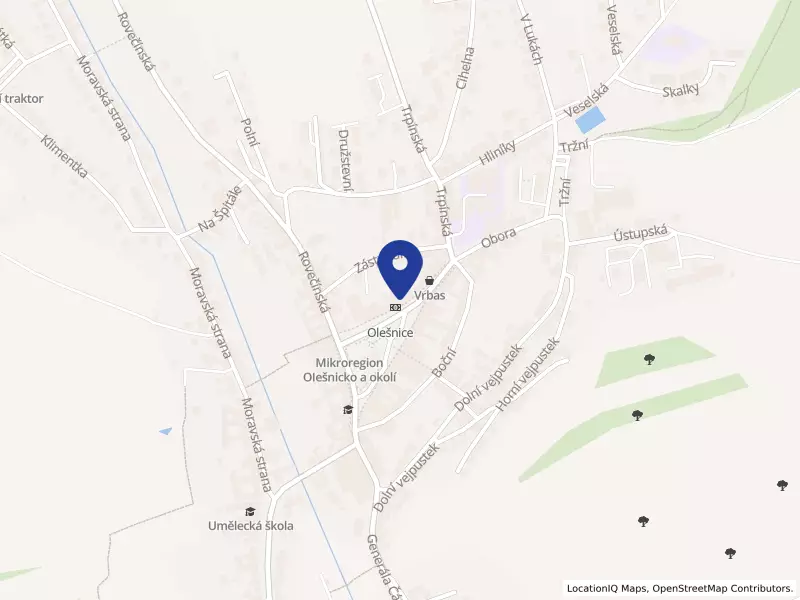 VSP Group, a.s., náměstí Míru 117, 67974 Olešnice - Olešnice, IČO 25536346