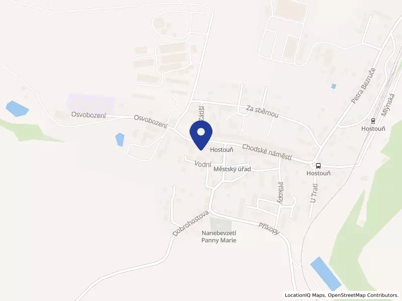 Výchovný ústav, dětský domov se školou, základní škola, střední škola a školní jídelna, Hostouň, Chodské náměstí 131, Hostouň, Chodské náměstí 131, 34525 Hostouň - Hostouň, IČO 48342998
