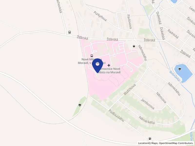 Nemocnice Nové Město na Moravě, příspěvková organizace, Žďárská 610, 59231 Nové Město na Moravě - Nové Město na Moravě, IČO 00842001
