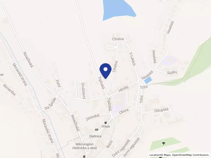 Výchovný ústav a střední škola, Olešnice na Moravě, Trpínská 317, Trpínská 317, 67974 Olešnice - Olešnice, IČO 62073079