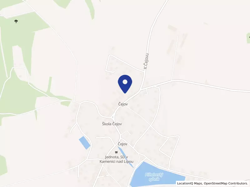 PLP Group s.r.o., 101, 39601 Čejov - Čejov, IČO 06111751