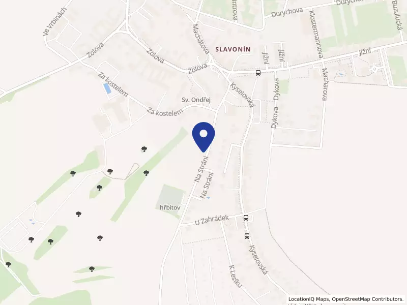 Společnost pro ranou péči, pobočka pro zrak Olomouc, Olomouc, Na Stráni 677/12, 78301 Olomouc - Slavonín, IČO 75095009