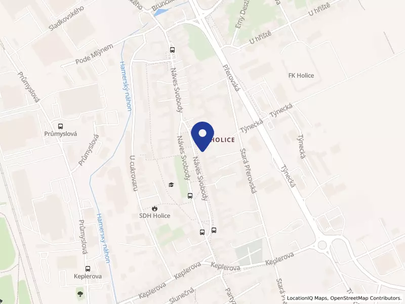 První zprostředkovatelská s.r.o., Náves Svobody 41/35, 77900 Olomouc - Holice, IČO 01437909