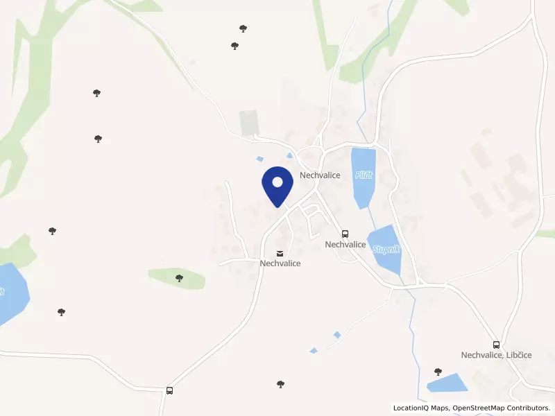 Základní škola a Mateřská škola Nechvalice, okres Příbram, 25, 26401 Nechvalice - Nechvalice, IČO 75030543