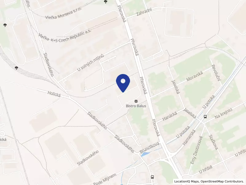 DIZIONARIO s.r.o., 1021, 77900 Olomouc - Holice, IČO 02376903