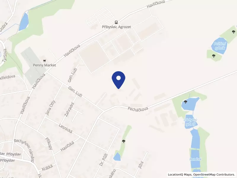 Nutramed s.r.o., Přibyslav, Pecháčkova 290, 58222 Přibyslav - Přibyslav, IČO 24125687
