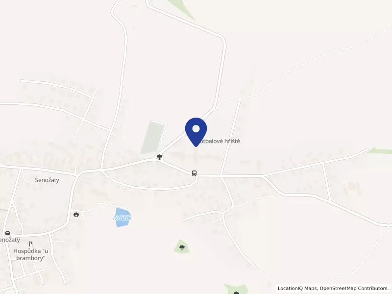Základní škola Senožaty, okres Pelhřimov, 184, 39456 Senožaty - Senožaty, IČO 70659249