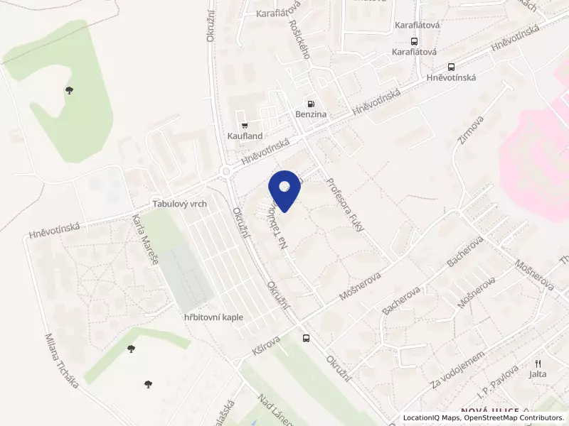 Alergologie Gvozdiaková s.r.o., Na Tabulovém vrchu 1280/1, 77900 Olomouc - Nová Ulice, IČO 09939903