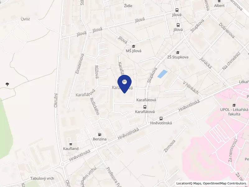 Mateřská škola 1. olomoucká sportovní s.r.o., Karafiátová 895/3a, 77900 Olomouc - Neředín, IČO 28631528