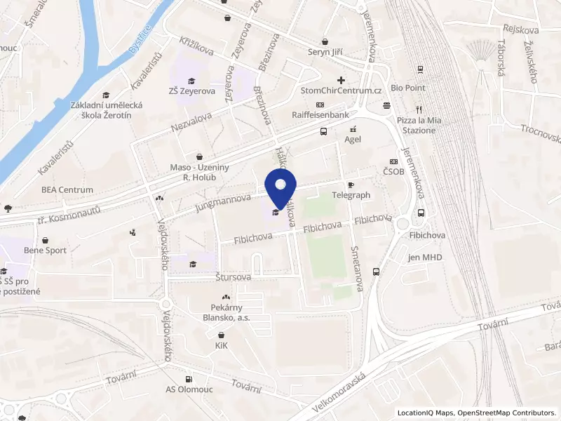 Fakultní základní škola Olomouc, Hálkova 4, příspěvková organizace, Olomouc, Hálkova 335/4, 77900 Olomouc - Hodolany, IČO 70631026