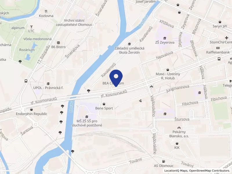 Maple Bear základní škola Olomouc s.r.o., tř. Kosmonautů 1338/1a, 77900 Olomouc - Hodolany, IČO 21908770