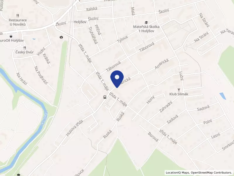 MY A PIZZA s.r.o., Americká 393, 34562 Holýšov - Holýšov, IČO 03143821