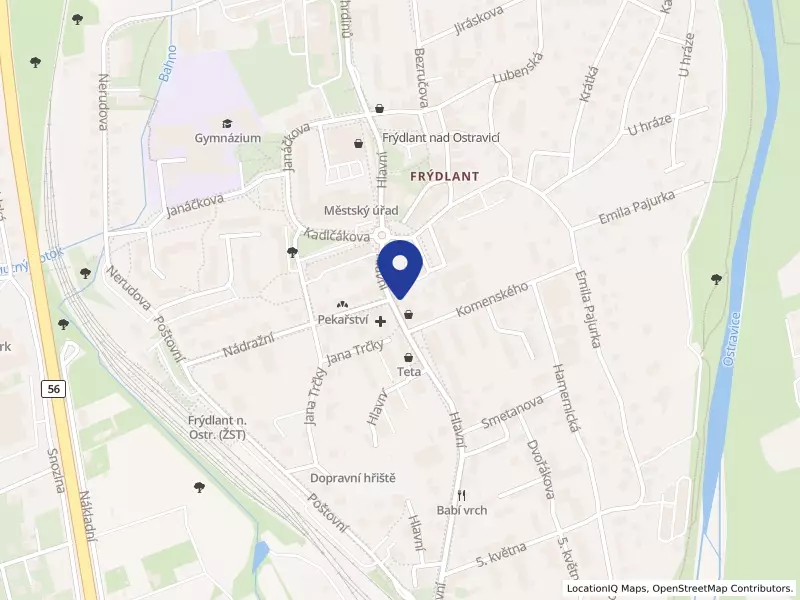 IN-SERVIS SYRY s.r.o., Hlavní 474, 73911 Frýdlant nad Ostravicí - Frýdlant, IČO 06967035