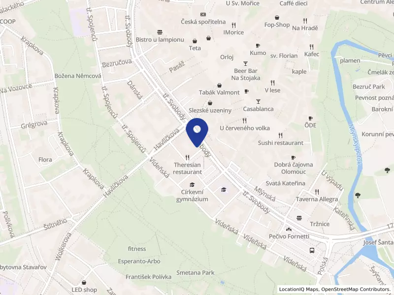 MAN-GO InternetCafe s.r.o., Palachovo nám. 620/1, 77900 Olomouc - Olomouc, IČO 03323340