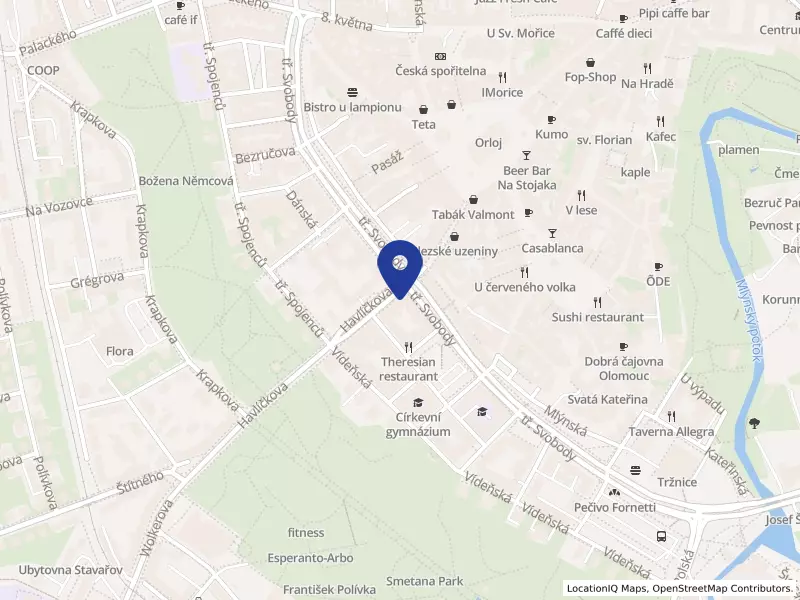 Restaurace Drápal s.r.o., Havlíčkova 637/1, 77900 Olomouc - Olomouc, IČO 02433249