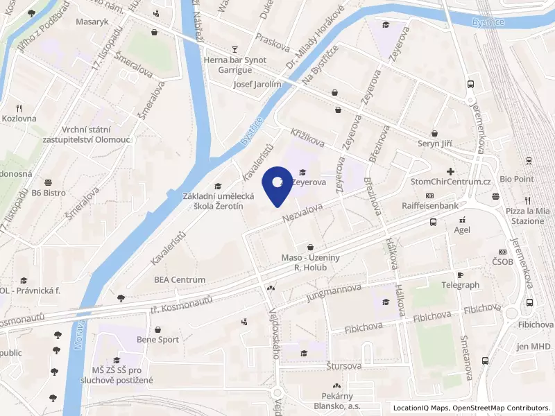 Laboratoře Mikrochem a.s., Olomouc, Nezvalova 984/2, 77900 Olomouc - Hodolany, IČO 60777907