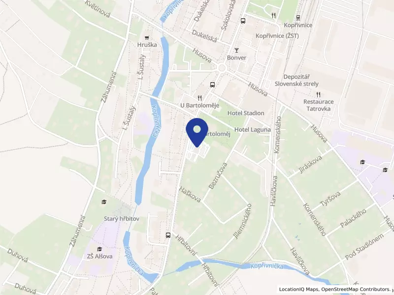 Základní umělecká škola Zdeňka Buriana, Kopřivnice, příspěvková organizace, Štramberská 294/1b, 74221 Kopřivnice - Kopřivnice, IČO 62330322
